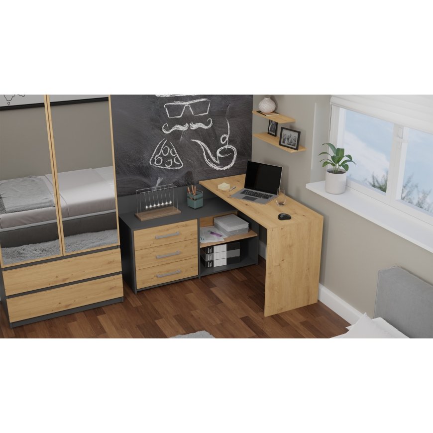 Topeshop DANY ANT/ART KPL datorgalds – 3