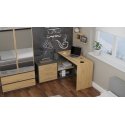 Topeshop DANY ANT/ART KPL computer desk Topeshop DANY ANT/ART KPL computer desk