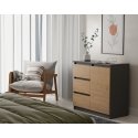 Topeshop 1D3S ANT/ART KPL riidekapp ja sahtlitega kummut Topeshop 1D3S ANT/ART KPL riidekapp ja sahtlitega kummut
