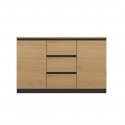 Topeshop 2D3S ANT/ART BA KPL комод