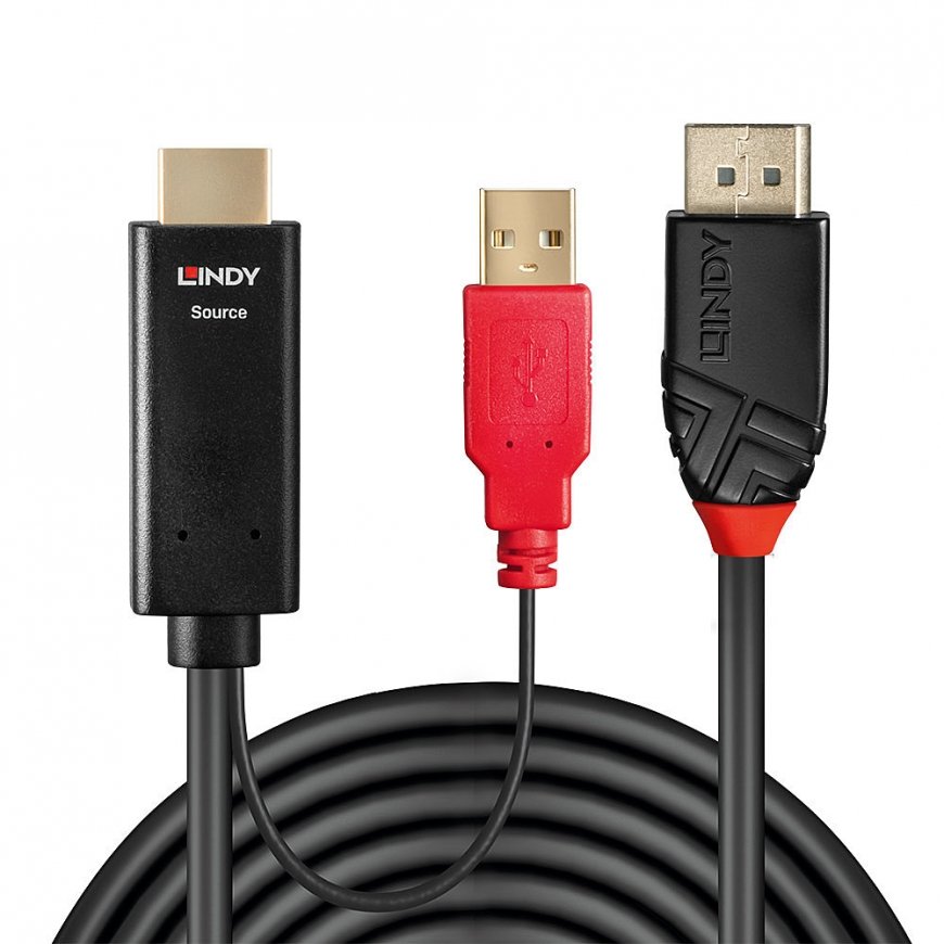 Lindy 41424 видео кабель адаптер 0,5 m DisplayPort HDMI + USB Черный – 2
