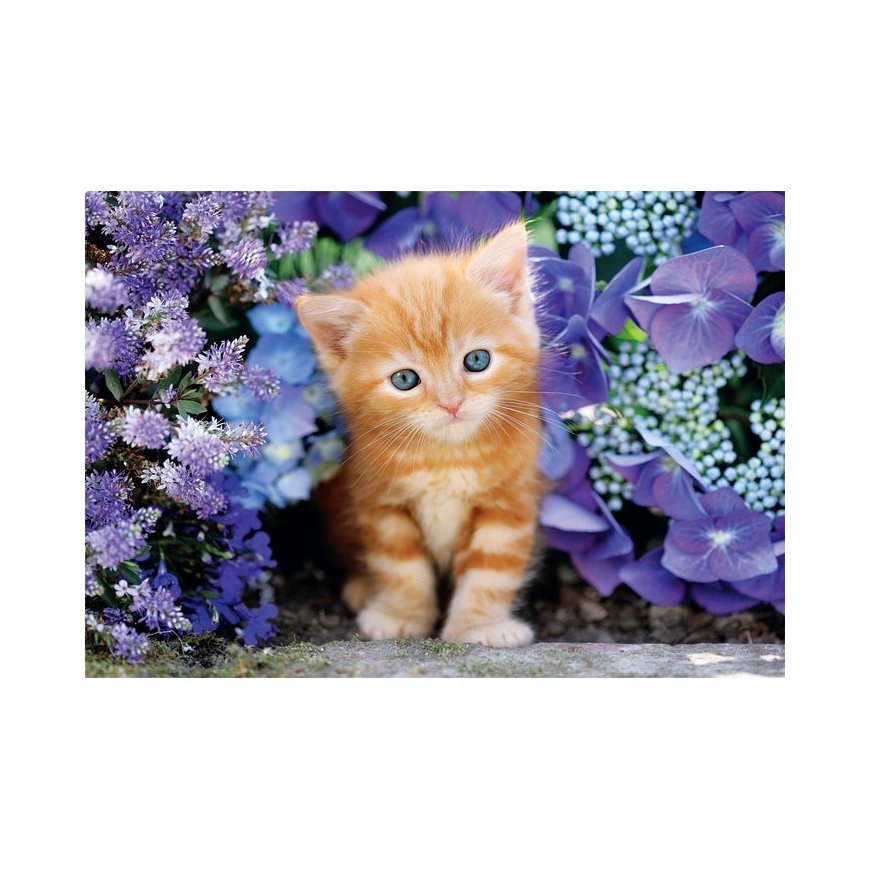 Clementoni High Quality Collection 35585 pusle 500 tk Animals – 2