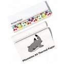 Phomemo termiskais papīrs kaste 2 ruļļi rullīšu formātā 216mm Phomemo M832 / Q22-RMSG10-LTRM8 Phomemo termiskais papīrs kaste 2 ruļļi rullīšu formātā 216mm Phomemo M832 / Q22-RMSG10-LTRM8