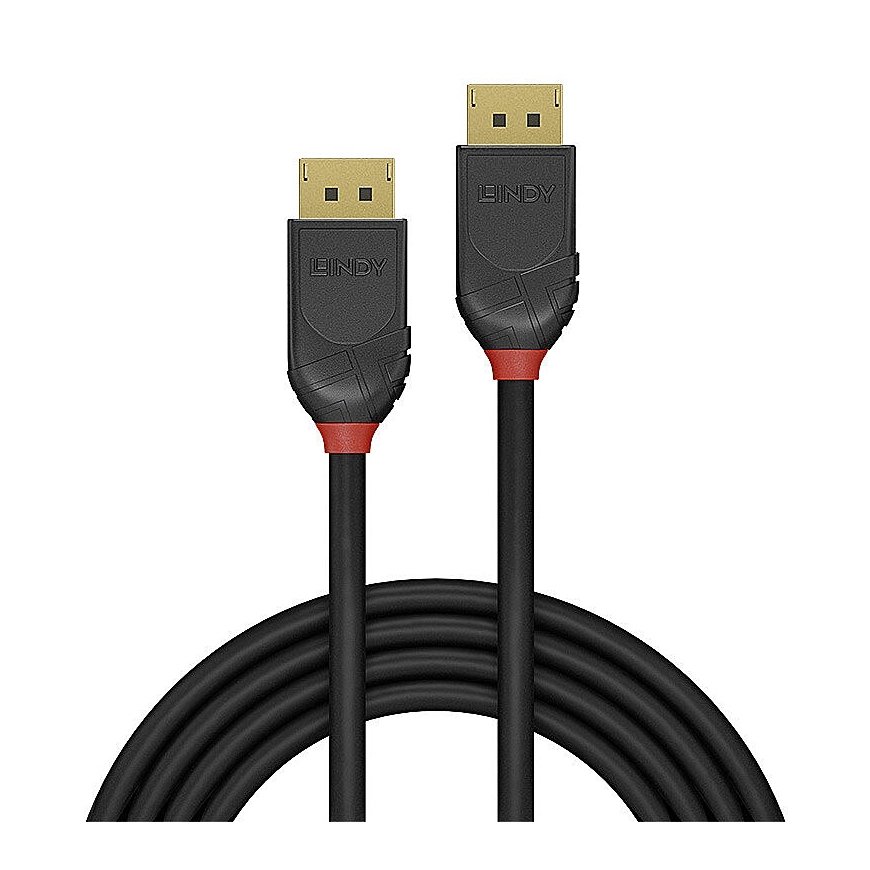 Lindy 36521 DisplayPort cable 2 m Black – 2