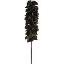 Eurofirany KW/FLORE/766/CZA BLACK