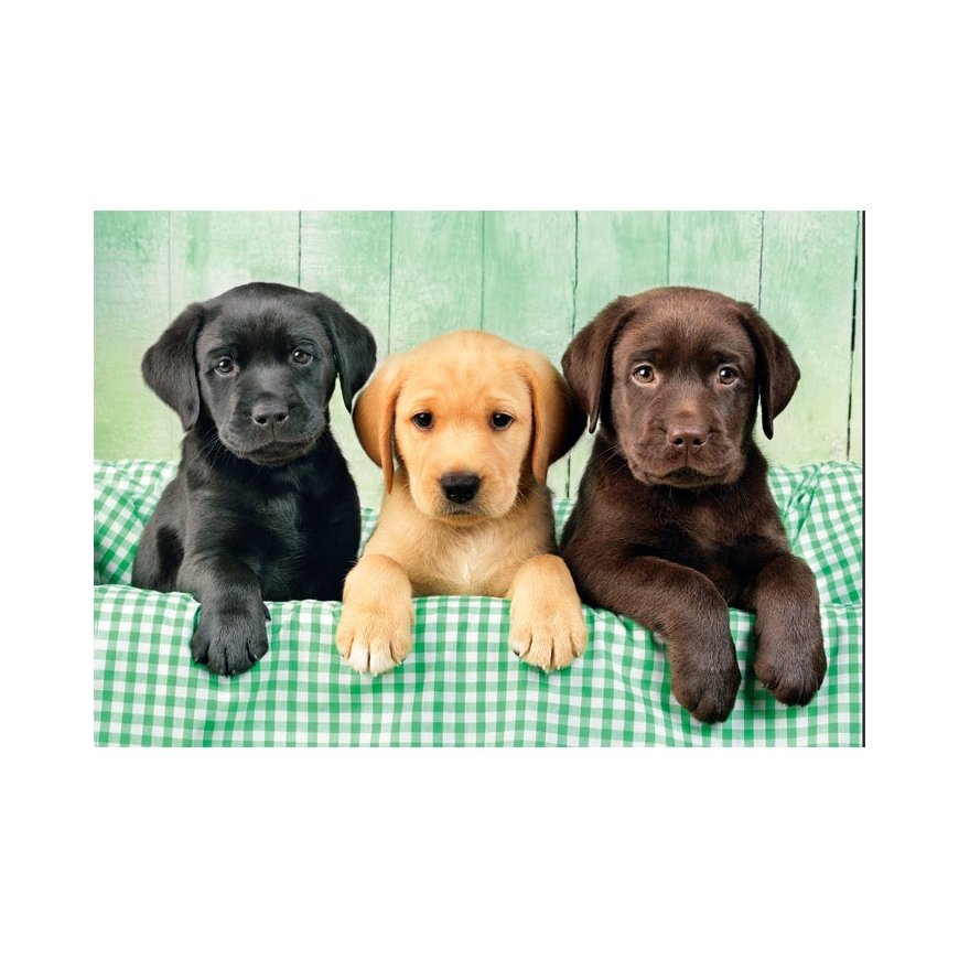 Clementoni High Quality Collection 39946 puzle 1000 pcs Dzīvnieki – 2