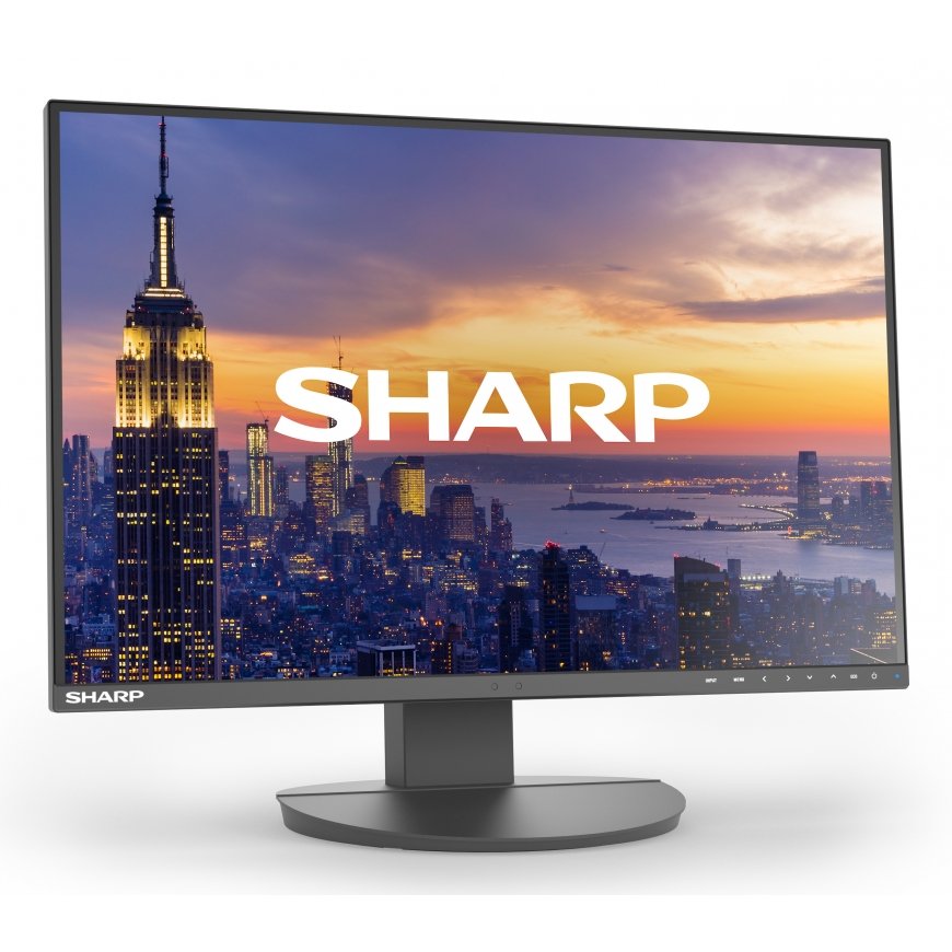 Sharp MultiSync EA242W монитор для ПК 61 cm (24") 1920 x 1200 пикселей Full HD ЖК Черный – 2