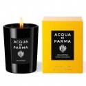 Acqua di Parma Gelsomino vahakynttilä Sylinteri musta 1 kpl Acqua di Parma Gelsomino vahakynttilä Sylinteri musta 1 kpl