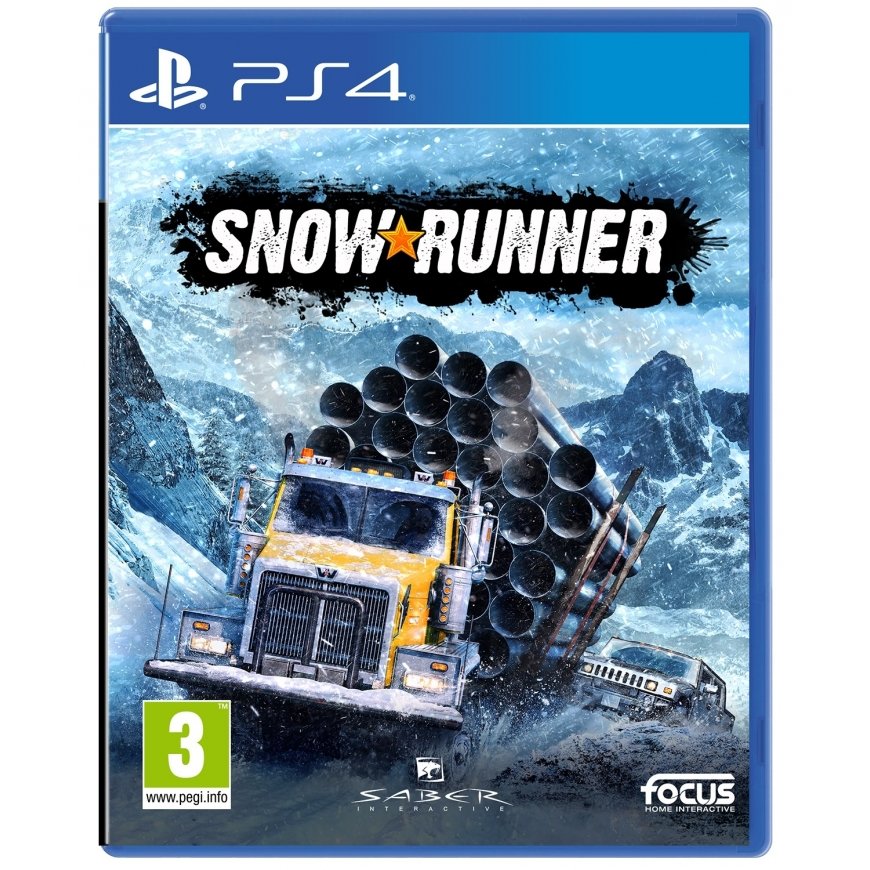 PAN Vision SnowRunner, PS4 Standartinis PlayStation 4