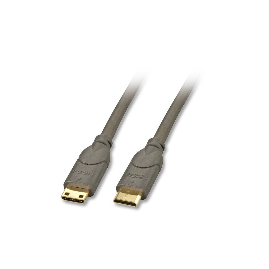 Lindy 0.5m HDMI CAT2 HDMI kabelis 0,5 m HDMI Type C (Mini) Juoda