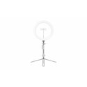Kodak Ring Light 10” valorengas LED