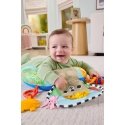 Fisher-Price JHB44 õppemänguasi Fisher-Price JHB44 õppemänguasi