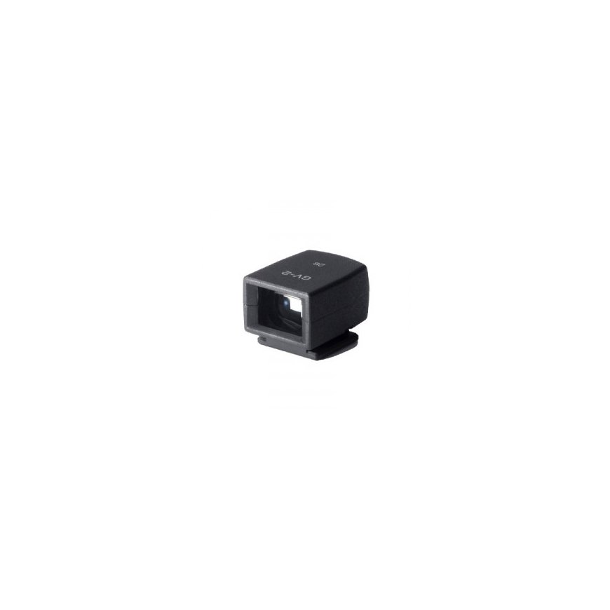 Ricoh GV-2