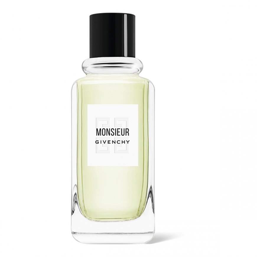 Givenchy Monsieur 100 ml Miesten