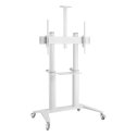 Techly ICA-TR49W передвижная тумба/стойка для мультимедиа Белый Плоская панель Передвижная тумба для Techly ICA-TR49W передвижная тумба/стойка для мультимедиа Белый Плоская панель Передвижная тумба для