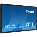iiyama TF4339AS-B1AG tietokoneen litteä näyttö 108 cm (42.5") 3840 x 2160 pikseliä 4K Ultra HD LED K