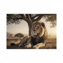 Dino puzzle 500 pcs: relaxing lion Dino puzzle 500 pcs: relaxing lion