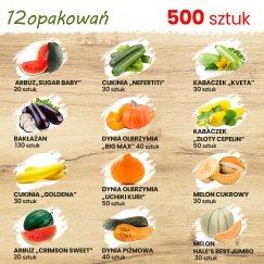 TORAF FLAVOR SYMPHONY - SIEMEN SETTI - 12 PAKETTIA