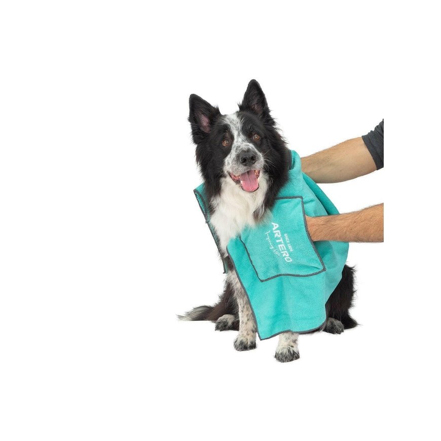 Dogs Collection kutsikas jalutusrihm 120 cm – 2