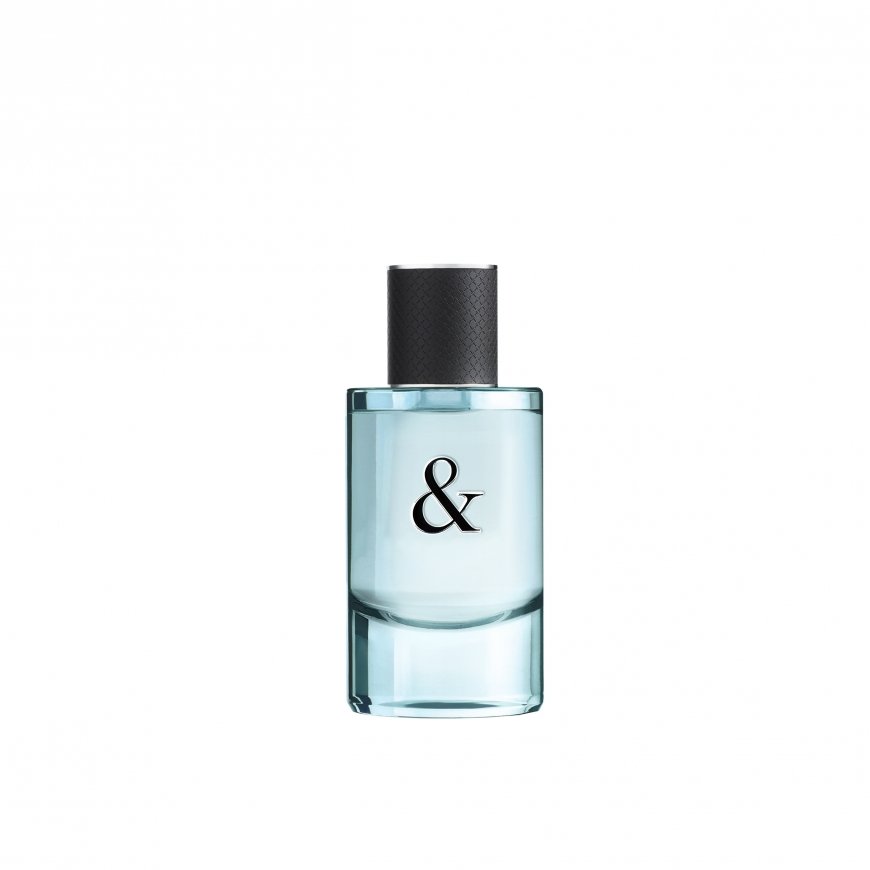 Tiffany & Co. Love Eau de Toilette for Him 50 ml Mehed