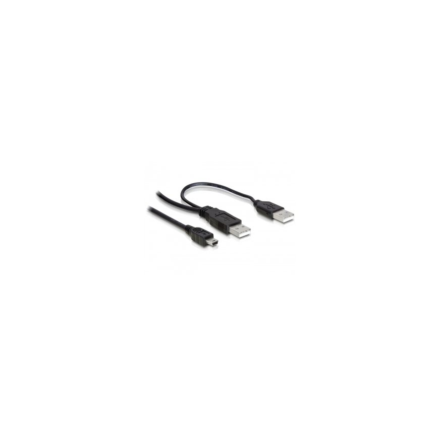 DeLOCK 2x USB2.0-A male /