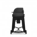 Traeger Woodridge pellettigrilli Traeger Woodridge pellettigrilli