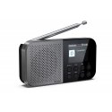Sharp DR-P520 Персональный Цифровой Серый