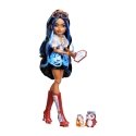 Monster High JMB81 lėlė Monster High JMB81 lėlė