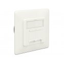 DeLOCK 86195 šakutės lizdas RJ-45 Balta DeLOCK 86195 šakutės lizdas RJ-45 Balta