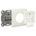 DeLOCK 86195 šakutės lizdas RJ-45 Balta DeLOCK 86195 šakutės lizdas RJ-45 Balta