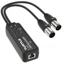 Turtle 2CH Analog XLR - Dante-sovitin