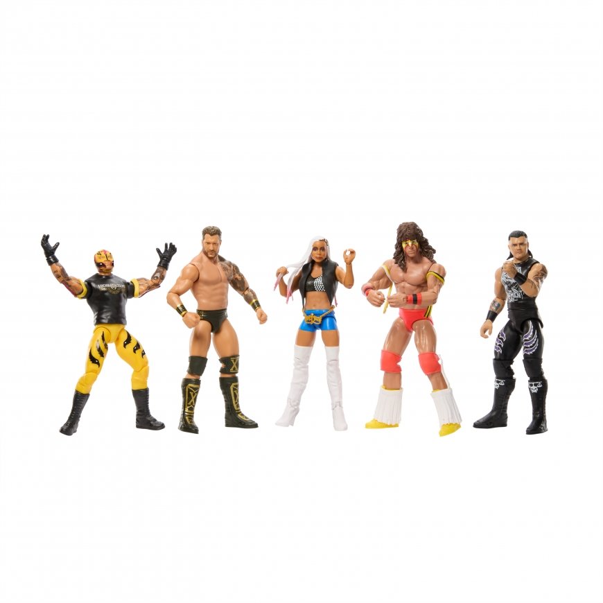 WWE Basic Action Figure Assortment – 3