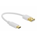 DeLOCK 85355 USB кабель 0,15 m USB A USB C Белый
