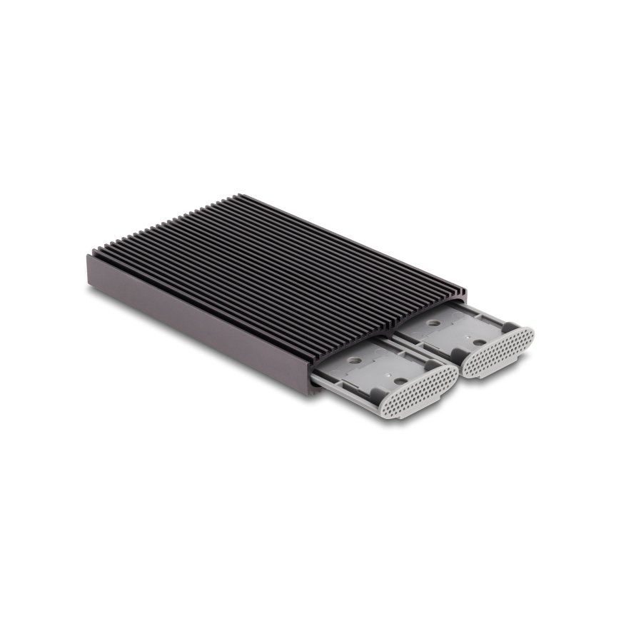 DeLOCK 42028 cieto disku uzglabāšanas sistēma SSD diska korpuss Melns, Pelēks M.2 – 2