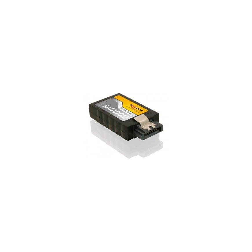 DeLOCK 54351 SSD diskas 2 GB