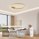 Immax NEO FINO Потолочный (настенный) светильник золото 80см 55Вт 4285лм Tuya Zigbee 3,0 с пультом.