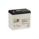 BATTERY 12V/55AH-MWL MW POWER BATTERY 12V/55AH-MWL MW POWER