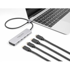 DeLOCK 64231 хаб-разветвитель USB Type-C 10000 Мбит/с Серый