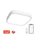 Immax NEO RECUADRO Умный потолочный светильник 80см 67Вт черный Zigbee 3.0 Immax NEO RECUADRO Умный потолочный светильник 80см 67Вт черный Zigbee 3.0