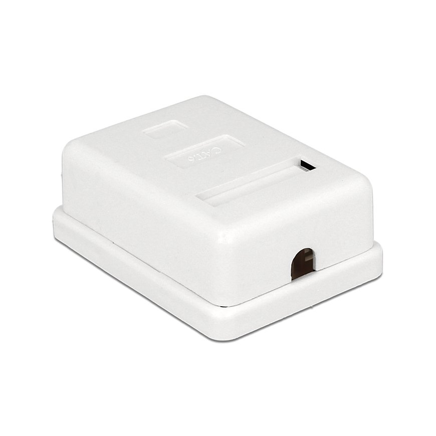 DeLOCK 86169 розетка RJ-45 Белый – 2