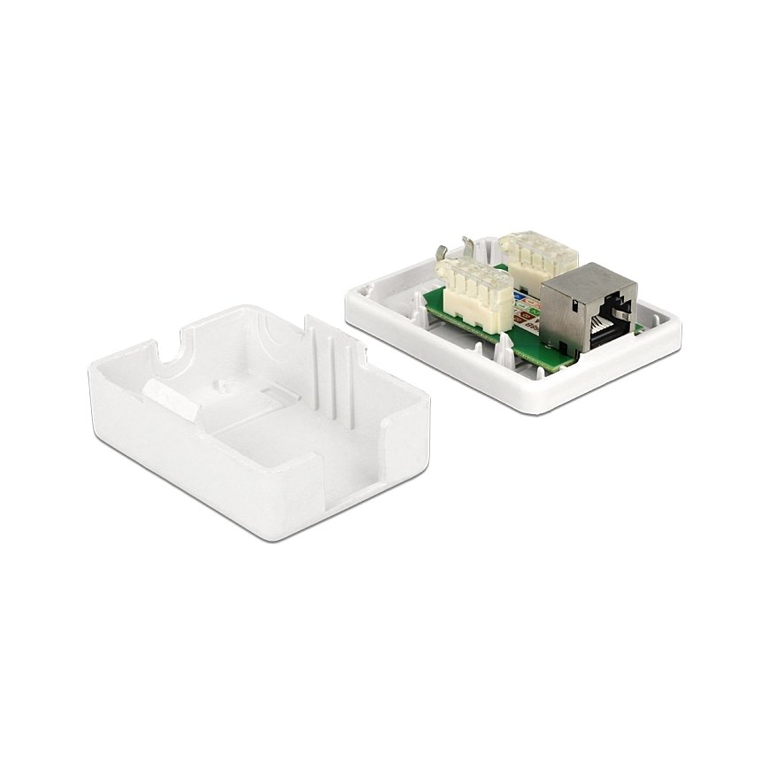 DeLOCK 86169 pistorasia RJ-45 Valkoinen – 3