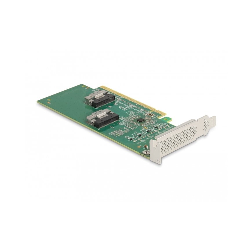 DeLOCK 90077 sąsajos plokštė / adapteris Vidinis U.2 – 4