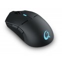 QPAD DX900 pele Speļu Abām rokām RF Wireless + USB Type-C Optisks 16000 DPI