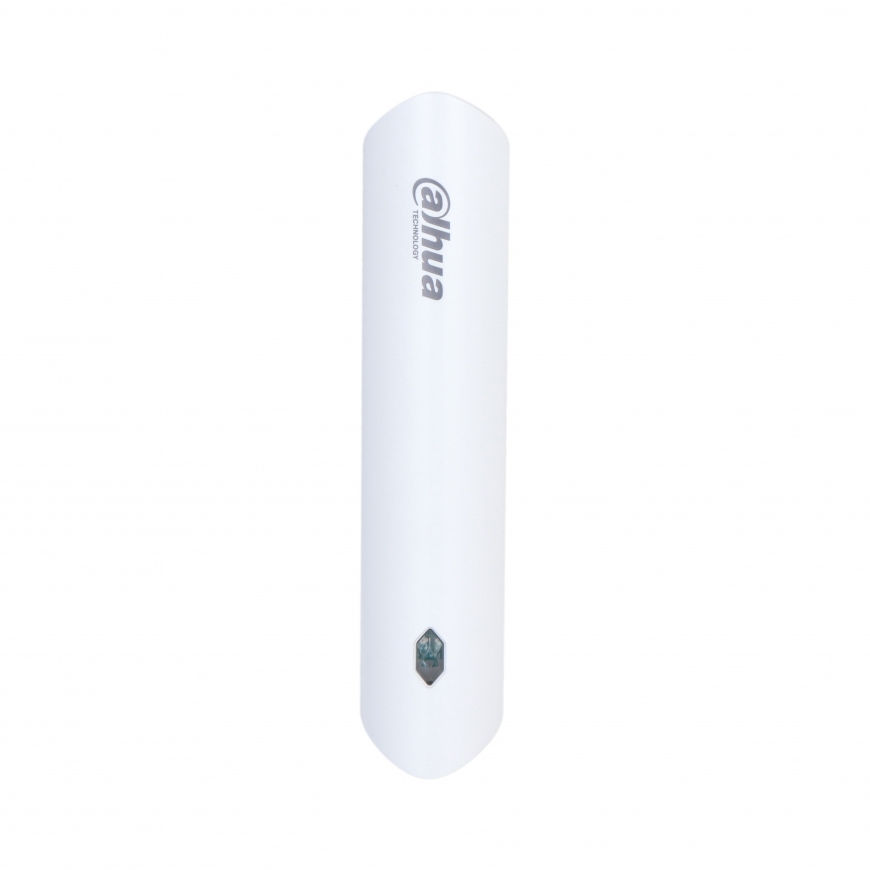 Dahua Technology ARM310-W2(868)