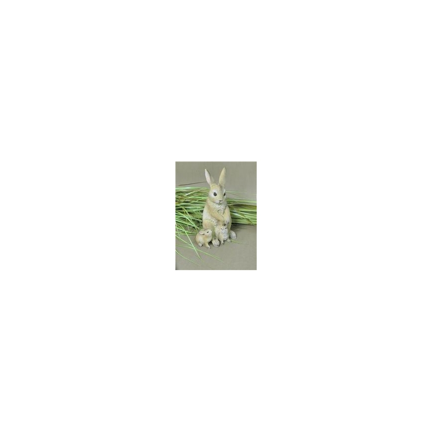 Eurofirany WI/C/FIG/247/C 9X12X35 AMAR – 2