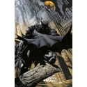 ERIK DC Comics Batman Gargoyle poster