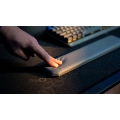 Клавиатура Ducky ENDORFY Thock TKL с подставкой для запястья V2