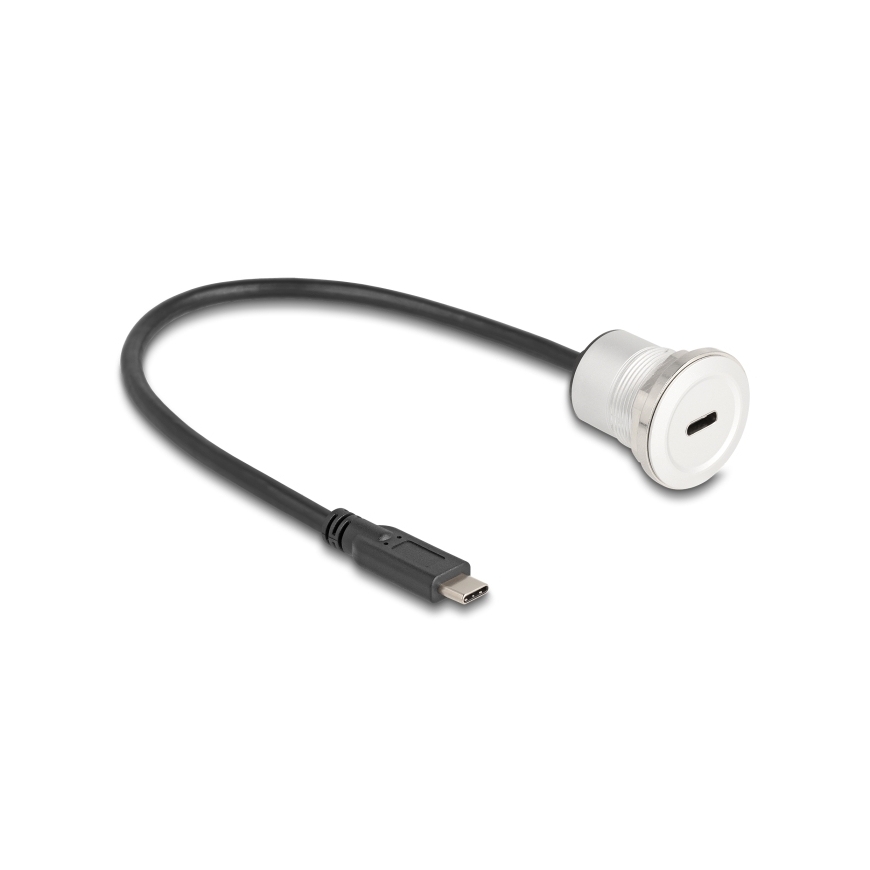 DeLOCK 88183 USB kabelis 0,3 m USB C Juoda, Sidabras