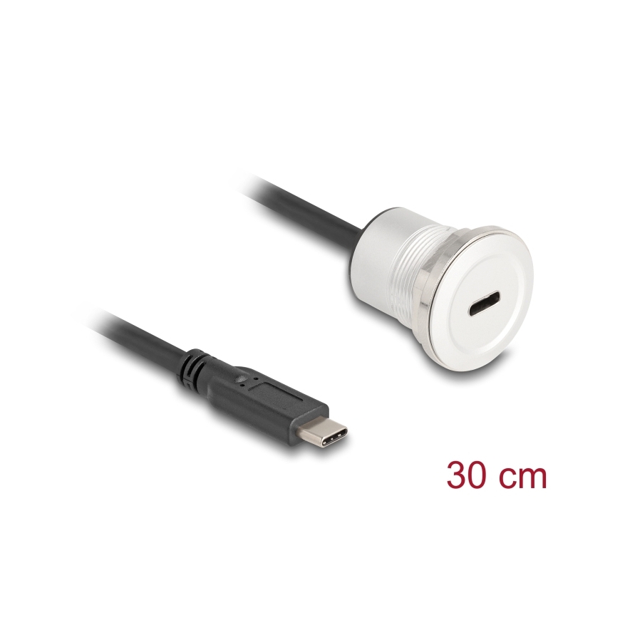 DeLOCK 88183 USB kabelis 0,3 m USB C Juoda, Sidabras – 2