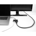 DeLOCK 64199 USB grafiskais adapteris 7680 x 4320 pikseļi Melns